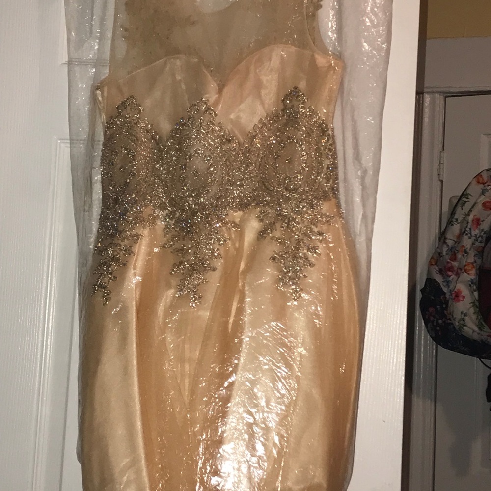 DRESS - Picture 5 of 6